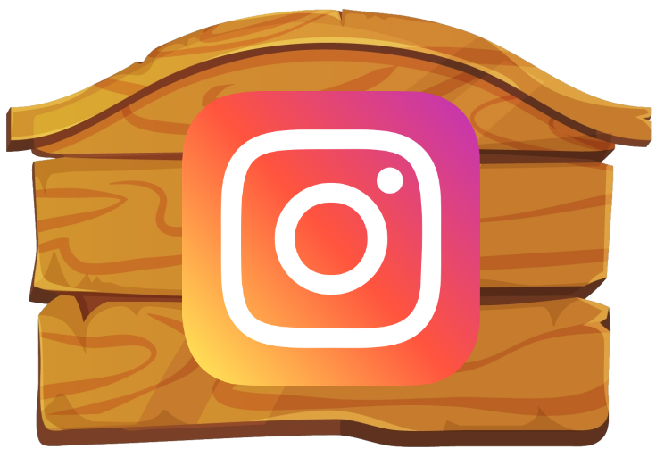 instagram icon